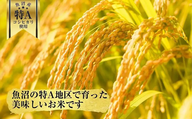新潟県 魚沼産 備蓄 コシヒカリ ご飯 200g×10 パック ごはん レンジ 簡単 巣籠り 無添加 パックご飯 ごはんパック ブランド米 便利 簡単調理 温めるだけ 