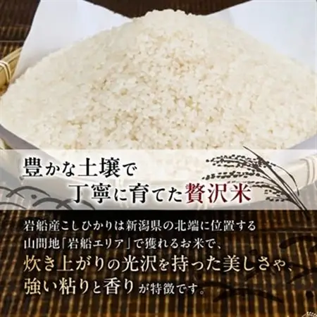 ふっくら食感!R7年産 関川村産コシヒカリ6kg(3kg×2) 丁寧に育てた贅沢米 [山口ファーム]_関川村産 こしひかり 先行予約_【1344366】