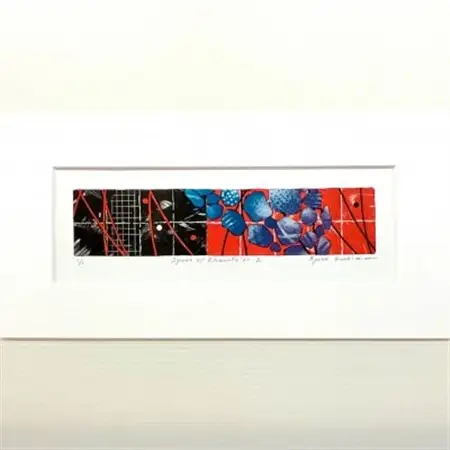 リトグラフ版画～Space of Elements[z]～ 1点　額装サイズ215mm×415mm【1340912】