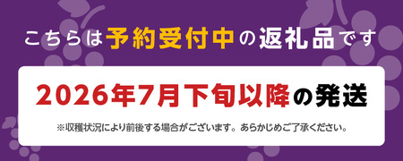 【7月下旬より順次発送】池尻農園　ハウス巨峰　約1kg_巨峰 約 1kg ぶどう 3房 久留米市産 渋み エグミ 無い フルーツ 果物 期間限定 池尻農園 ハウス巨峰 福岡県 久留米市 お取り寄せ お取り寄せフルーツ デザート 〔Fg007〕