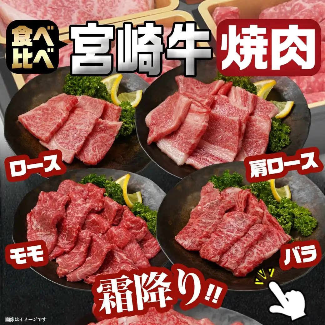 宮崎牛焼肉4種盛り＆宮崎牛肩スライス500g合計980gセット〔AC-8923〕_(都城市) 宮崎牛 焼肉4種盛り ロース 肩ロース モモ バラ 宮崎牛肩スライス 