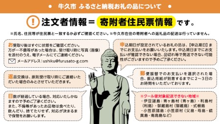 HOGY サージカル マスク ( 国産 ) ピンク 100枚入 × 3箱
