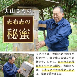b2-003 日本みつばちの純粋蜂蜜＜志布志の秘蜜＞計560g(280g×2本)