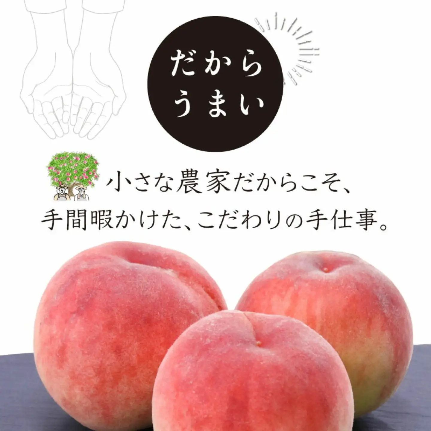 桃　山梨の桃　約1.5kg 以上