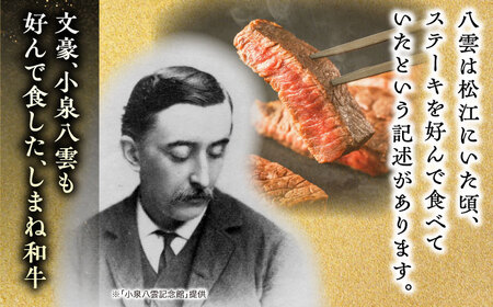 和牛 最高級品質の和牛肉！しまね和牛サーロインステーキ 200g×2枚 島根県松江市/有限会社宮本食肉店 [ALCV002] 和牛 和牛