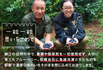 【先行予約】【7月中旬以降順次発送】【訳あり】令和8年産〈冷凍〉手摘み有機ブルーベリー1kg（500g × 2パック）