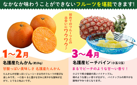 フルーツ【名護パイン園】旬の南国フルーツ定期便（6回コース）パイン マンゴー たんかん ドラゴンフルーツ  バナナ