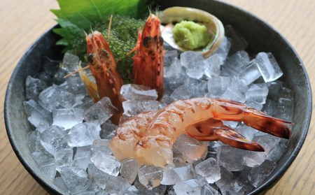 車海老 活き〆急速冷凍車えび【M】1kg