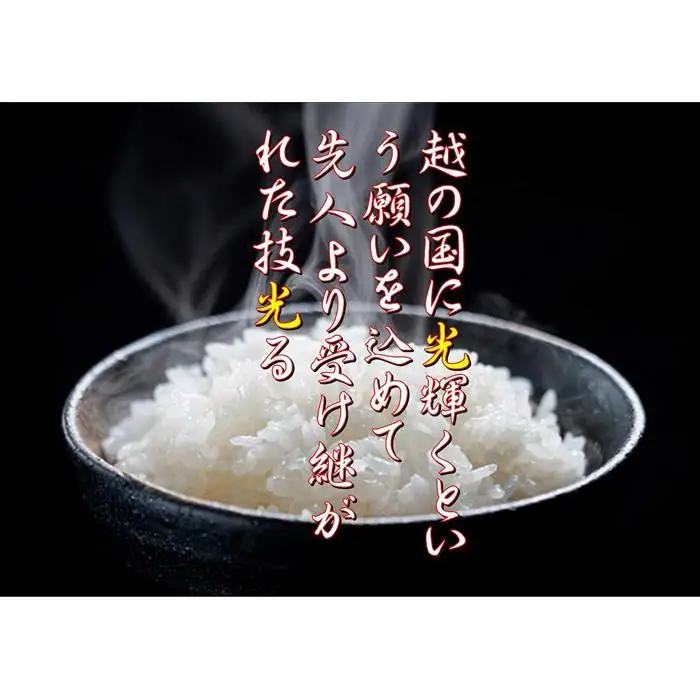 【地域限定】南魚沼産コシヒカリ　5kg×2袋　新潟県　南魚沼　南魚沼産　こしひかり　米　お米