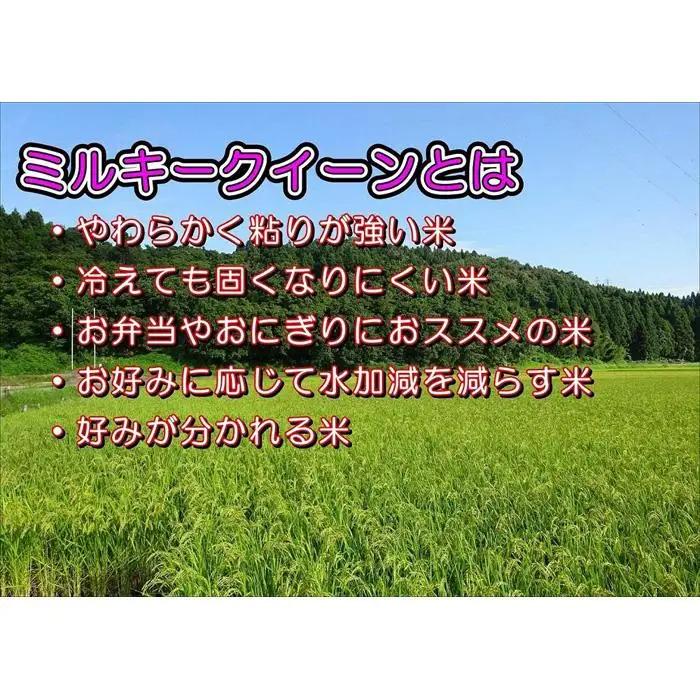 【特別栽培米】新潟県産ミルキークイーン　5kg×2袋（越後長岡育ち）