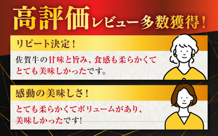 佐賀牛 ヒレステーキ600g NAB077 牛肉 ヒレ