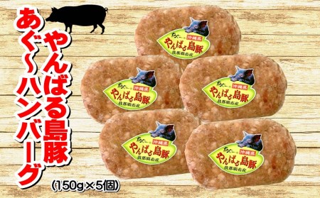 やんばるあぐー　餃子＆ハンバーグ（加工品セット）