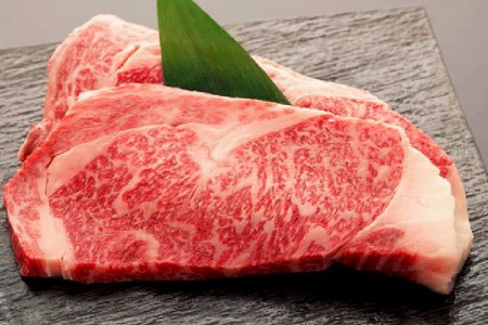 4回 定期便 亀山精肉店の本気！仙台牛食べ尽くし定期便 [気仙沼市物産振興協会 宮城県 気仙沼市 20565333]