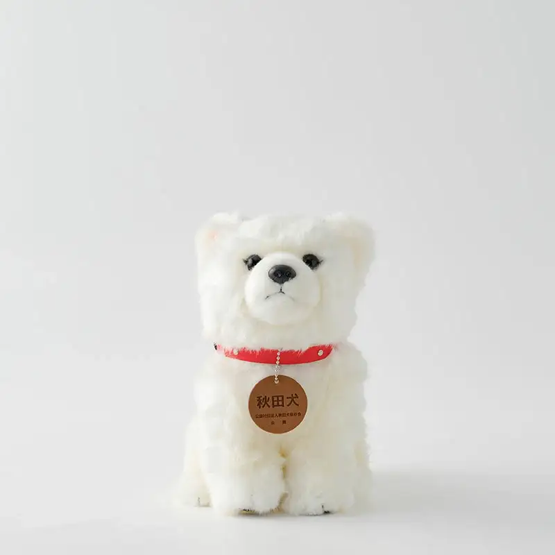 65P7304 秋田犬白毛(鼻黒)ぬいぐるみ　座りＭサイズ
