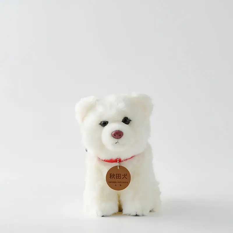 65P7305 秋田犬白毛(鼻ピンク)ぬいぐるみ　座りＭサイズ