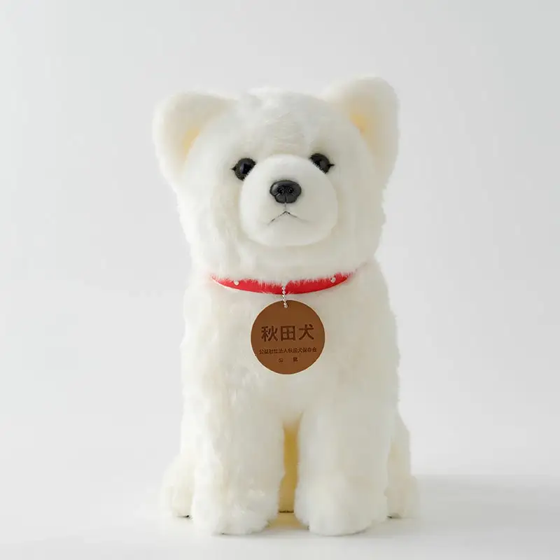 165P7304 秋田犬白毛(鼻黒)ぬいぐるみ　座りＬサイズ