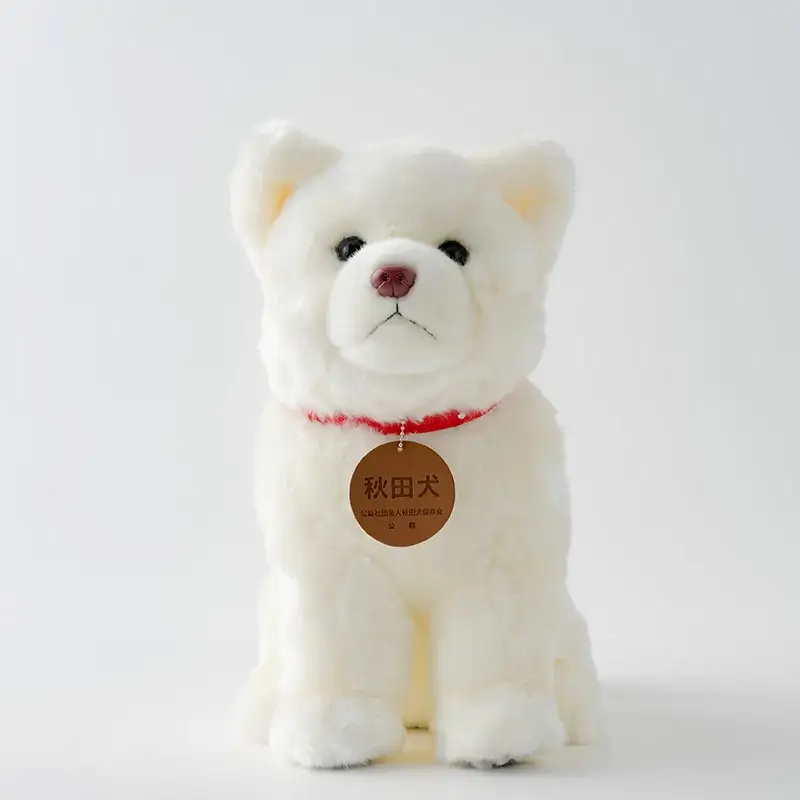 165P7305 秋田犬白毛(鼻ピンク)ぬいぐるみ　座りＬサイズ