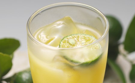 シークヮーサー原液1ケース/12本入