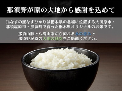 令和7年産 栃木県産 なすひかり 5kg JAなすの産地直送【大田原市・那須塩原市・那須町共通返礼品】〔P-85〕 ｜ 米 コメ こめ 白米 精米 新米