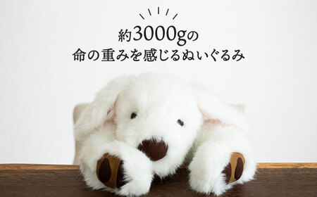犬型セラピー？！ロボット？パトランの白（通称：シロラン）犬 ぬいぐるみ 糸島市 / 科学工房未來 [AYI003]