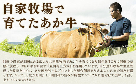 生産者直送！GI認証 くまもとあか牛 すき焼き用 500g ・ 焼き肉用 500g 食べ比べセット山の里《60日以内に出荷予定(土日祝除く)》熊本県 産山村 BBQ 焼き肉 焼肉 すき焼き くまもとあか牛 赤身 和牛 牛肉 牛 国産 あか牛 贈り物【配送不可地域あり】