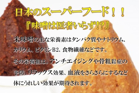 3ちゃん矢次の米みそ　『生・粋な味』丸ごと手作り味噌　1kg