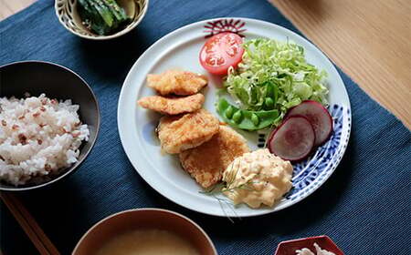 有田焼 絵変り 21cmプレート 5枚セット【ヤマト陶磁器】食器 器 うつわ 磁器 陶磁器 皿 プレート リム皿 メイン皿 5枚 セット かわいい おしゃれ 手描き A75-64