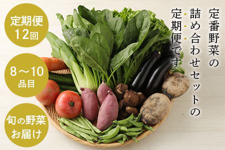【12ヶ月定期便】旬のおまかせ 野菜 BOX 野菜定期便 旬の野菜 詰め合わせ 野菜 新鮮 野菜 8～10品目 H-13