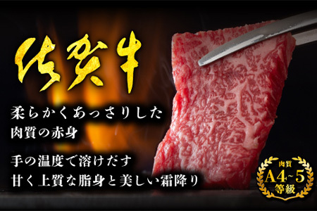 佐賀牛 ロース焼肉用500g E-29
