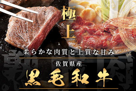   【熟成肉『堪能』コース５回定期便】佐賀県産黒毛和牛 ロースステーキ＆すきやき肉 W-2