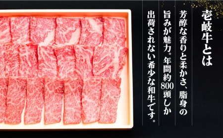 【全6回定期便】《A4-A5ランク》壱岐牛 満足定期便 [JBO081] 和牛 黒毛和牛