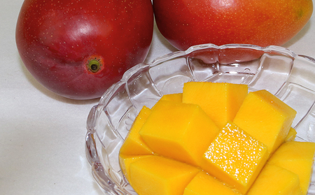 【2026年発送】　ご家庭で美味しく！アップルマンゴー約1.5kg【つは農園】 フルーツ 果物 期間限定 数量限定 先行予約 南国 プレゼント お土産 おみやげ ギフト くだもの 季節 おきなわ 青果 デザート おすすめ 人気 冷蔵 夏 スイーツ