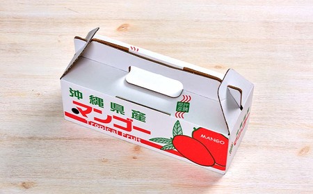 マンゴー【2026年発送先行予約】アップルマンゴー優品1kg以上