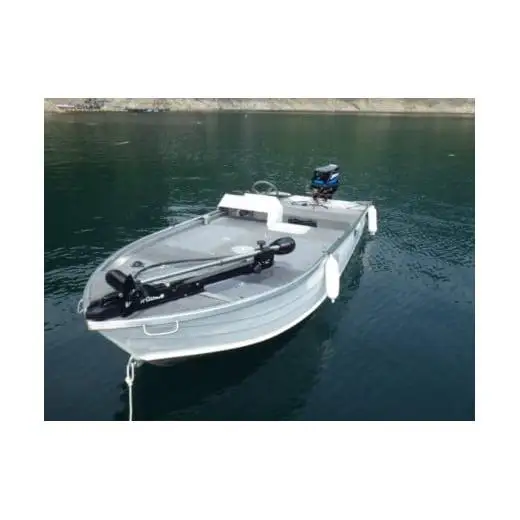 池原ダム レンタルボート【ステーサー420pd 14ｆ マーキュリー30ps 2st】池原 ドリーム バス釣り 1日乗船券