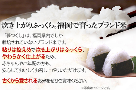  令和7年産　福岡県産ブランド米「夢つくし」白米　5kg【8月下旬頃より順次出荷予定】
