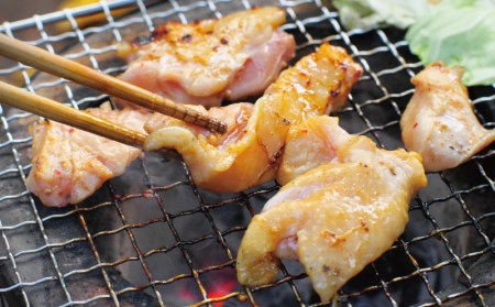 肉 鶏肉 小分け 鶏味付 焼肉 たれ味 400g×3パック 塩だれ味 400g×2パック 計2kg【冷凍】/ 肉 鶏肉 焼肉【tnk203】