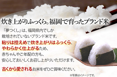  令和7年産　福岡県産ブランド米「夢つくし」無洗米　5kg【9月上旬頃より順次出荷予定】