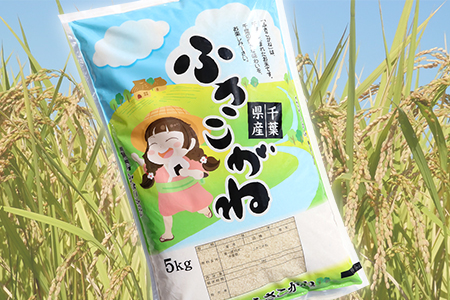 令和7年 千葉富津産「ふさこがね」10kg（5kg×2袋）精米　かじや米店