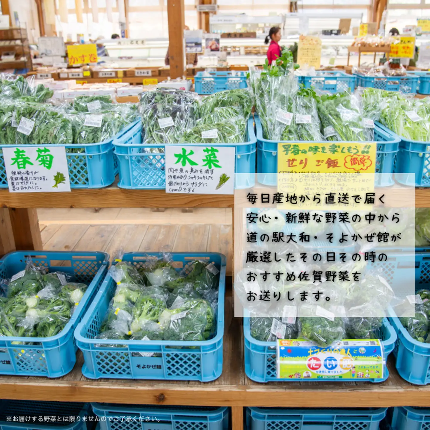 新鮮・季節の野菜詰め合わせ：B120-006