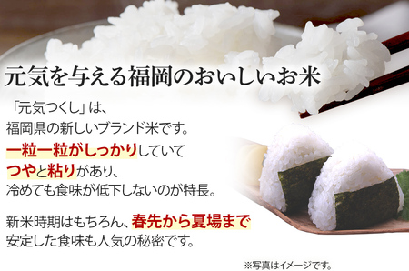 令和7年産　福岡県産ブランド米「元気つくし」無洗米20kg【11月下旬頃より順次出荷予定】