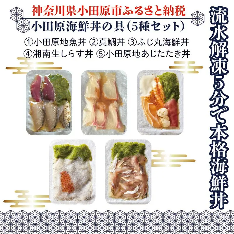 【曽我の梅干し、小田原地あじ、小田原港直送地魚丼、大磯港直送湘南生しらす】小田原海鮮丼の具（5種セット）【ふじ丸海鮮丼 湘南生シラス丼 小田原地魚丼 小田原地あじたたき丼 国産活〆真鯛丼 神奈川県 小田原市 】