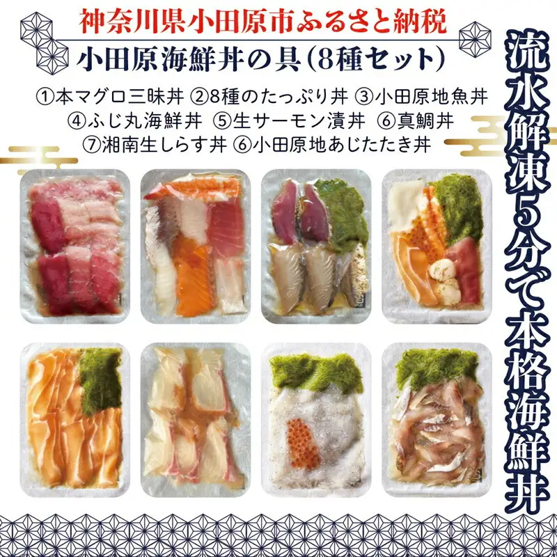 【高級食材本マグロ、曽我の梅干し、小田原地あじ、小田原港直送地魚丼、大磯港直送、湘南生しらす】小田原海鮮丼の具（8種セット）【本まぐろ丼 小田原地魚丼 小田原地あじたたき丼 国産活〆真鯛入り酒仕込み 神奈川県 小田原市 】