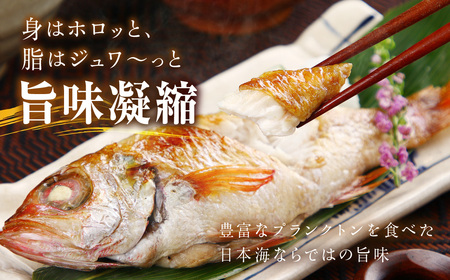 のどぐろ（鮮魚）1.2kg程度 処理済 のどぐろ 【006_2041】