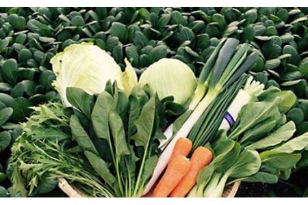 自然豊かな浜田市弥栄町で作られた「旬の野菜おまかせセット」 野菜 野菜セット 減農薬 旬 詰め合わせ セット おまかせ おたのしみ ギフト 【065_0493】