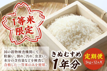 【令和7年産】浜田市産きぬむすめ 1年分 60kg 12ヶ月（5kg×12回コース）【定期便】 おいしさ自慢のお米 お取り寄せ 特産 お米 精米 白米 ごはん ご飯 コメ 【197_1951】