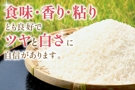 【令和7年産】【定期便】石見産きぬむすめ　6ヶ月（10kg×6回コース） 米 お米 精米 白米 ごはん 新生活 応援 準備 お取り寄せ 特産 定期 6回 【058_1854】
