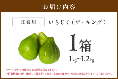 【先行予約】夏いちじく（キング）6月中旬～7月上旬発送予定 1kg~1.2kg【113_2057】
