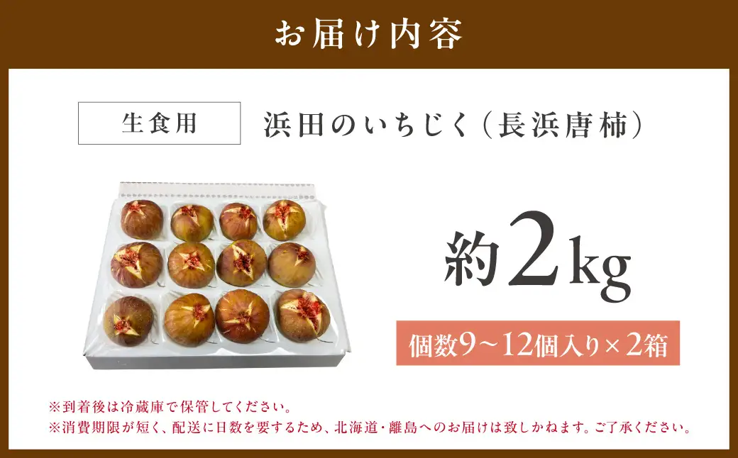【先行予約】浜田のいちじく懐かしの味！長浜唐柿（蓬莱柿）生食用 約2kg 8月下旬から発送【113_2058】