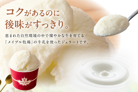 島根の新鮮な素材をふんだんに使った「イタリアンジェラート」（6個入） アイスクリーム 人気 スイーツ イタリアンジェラート お菓子 アイス ミルク チョコ 抹茶 苺 ギフト ご褒美 贈答【003_0643】