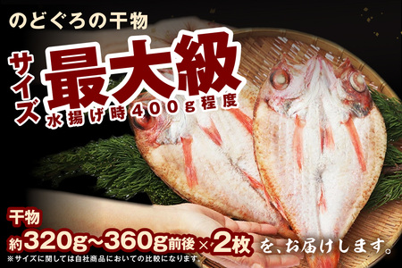 【先行予約】のどぐろ干物最大級2枚（30cm 計680g前後）のどぐろ本来の旨味に出会う渾身の干物 河野乾魚店 魚介類 魚貝類 のどぐろ 干物 干もの 一夜干し 2枚 お祝い 【019_1943】